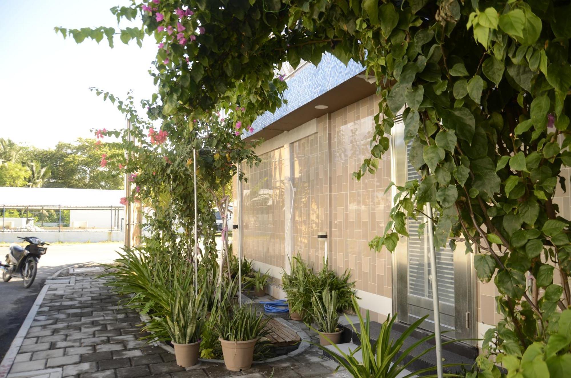 Isle Inn Guesthouse Fuvahmulah Экстерьер фото